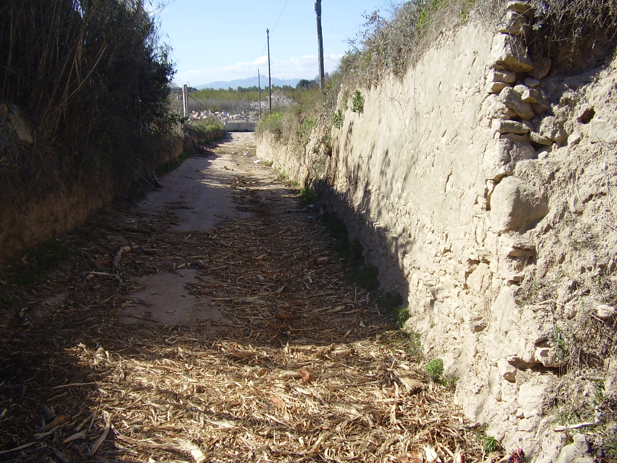 Camí de Barenys i fragment de columna.